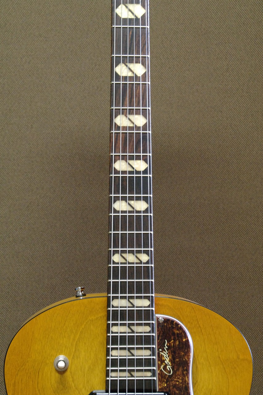 Godin 5th Avenue Jumdo P90 Harvest Gold（新品）【楽器検索