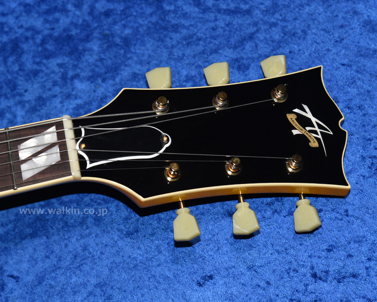 Archtop Tribute AT350 Classic（新品）【楽器検索デジマート】