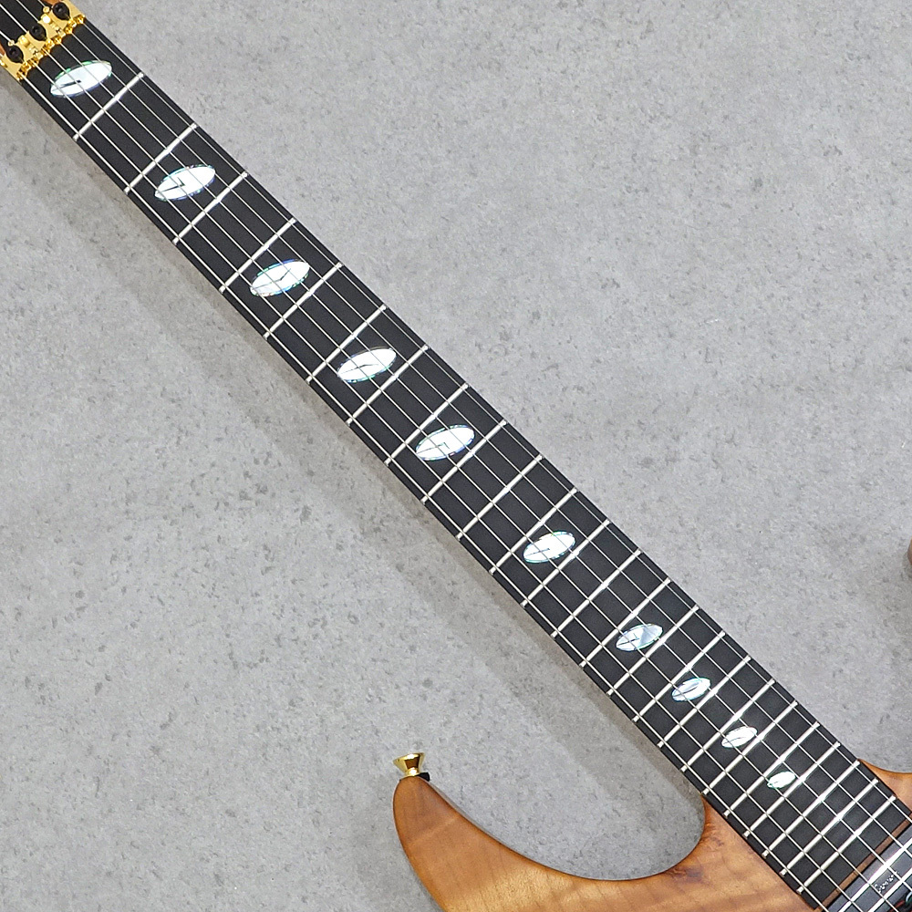サ*メ様 Caparison Dellinger Caparison Dellinger-SH-BM-CL 2025 Amber Matt #3390041 【48回まで