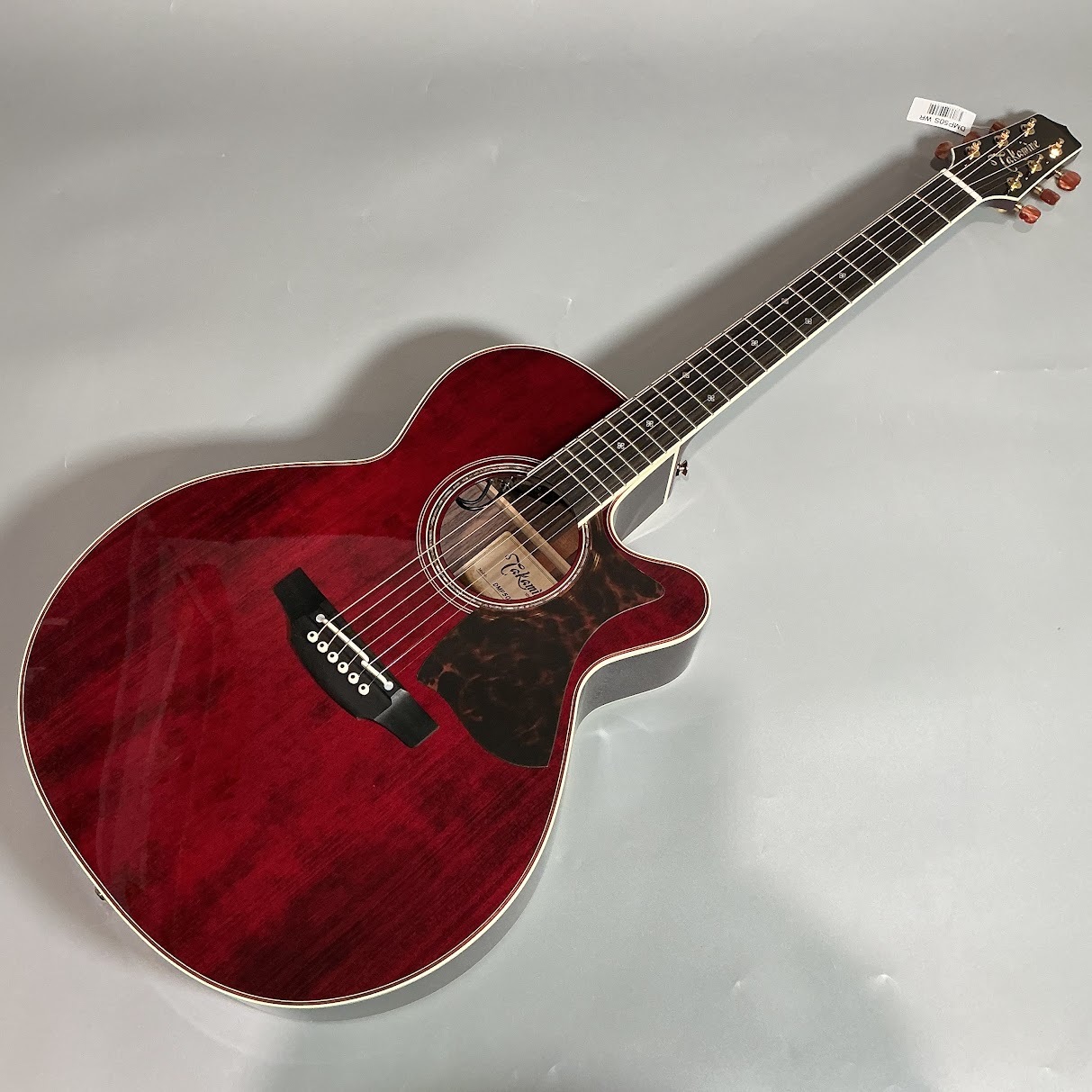 Takamine DMP50S WR エレアコギター セミハードケース付属