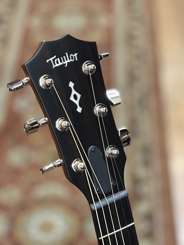Taylor 【再入荷 ! / 最新仕様!】414ce Next Generation（新品）【楽器