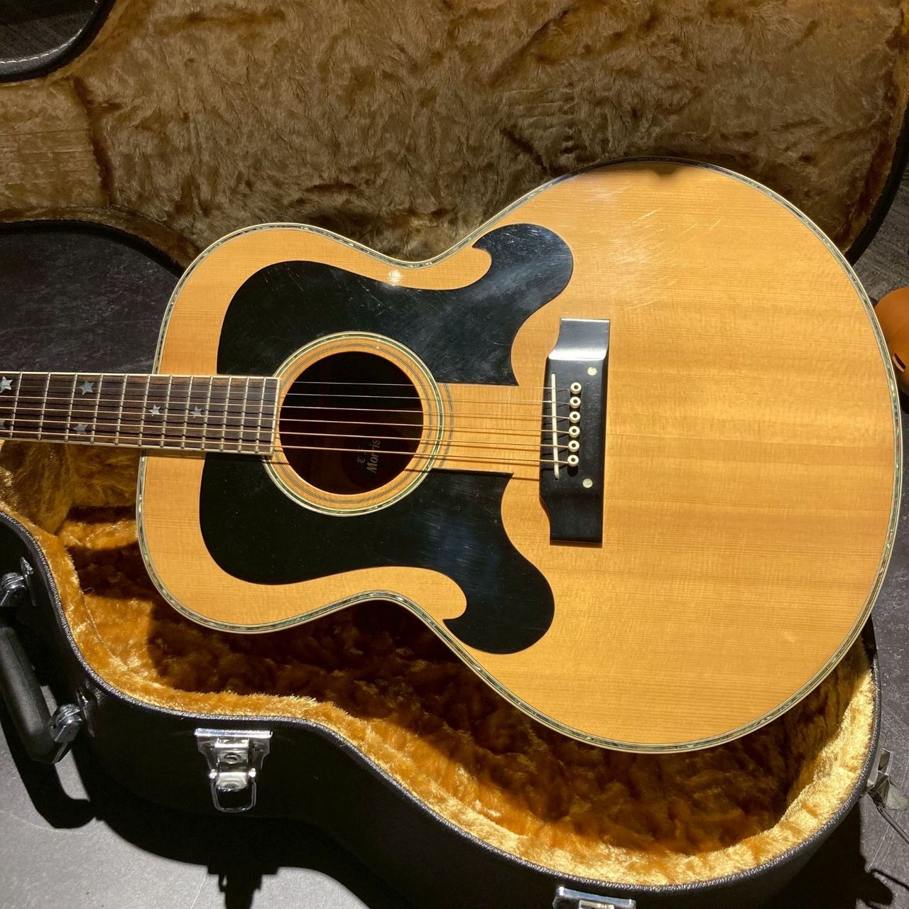 Morris WJ-50（中古/送料無料）【楽器検索デジマート】