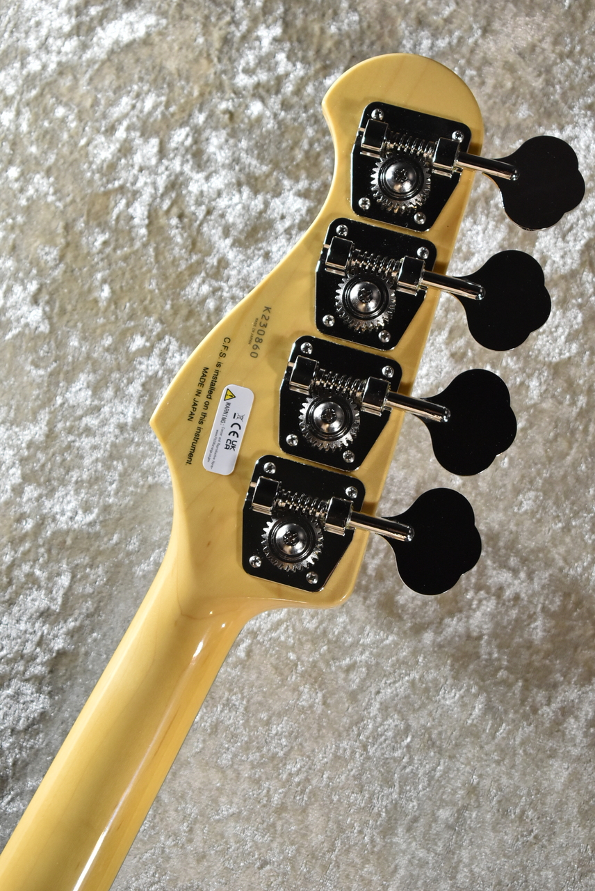 FUJIGEN(FGN) KNJB100RAL -Ocean Turquoise Metallic