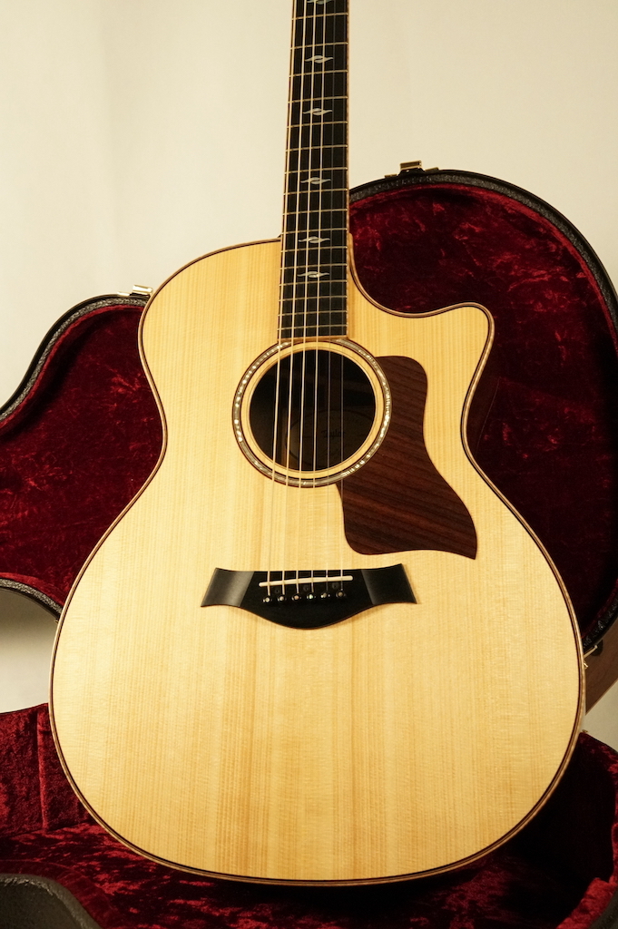 アプローズギター スプルース ボディ【中古品】 Taylor CTM GA Brazilian Rosewood 【アディロンダックスプルース