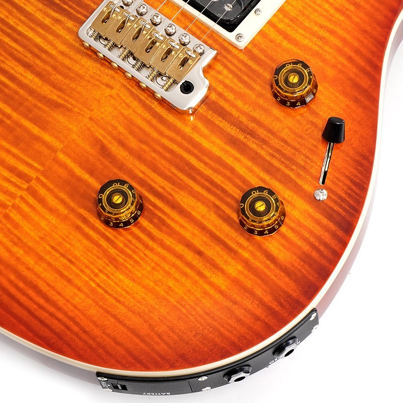Paul Reed Smith(PRS) SE Custom 24 Semi-Hollow Piezo (Vintage