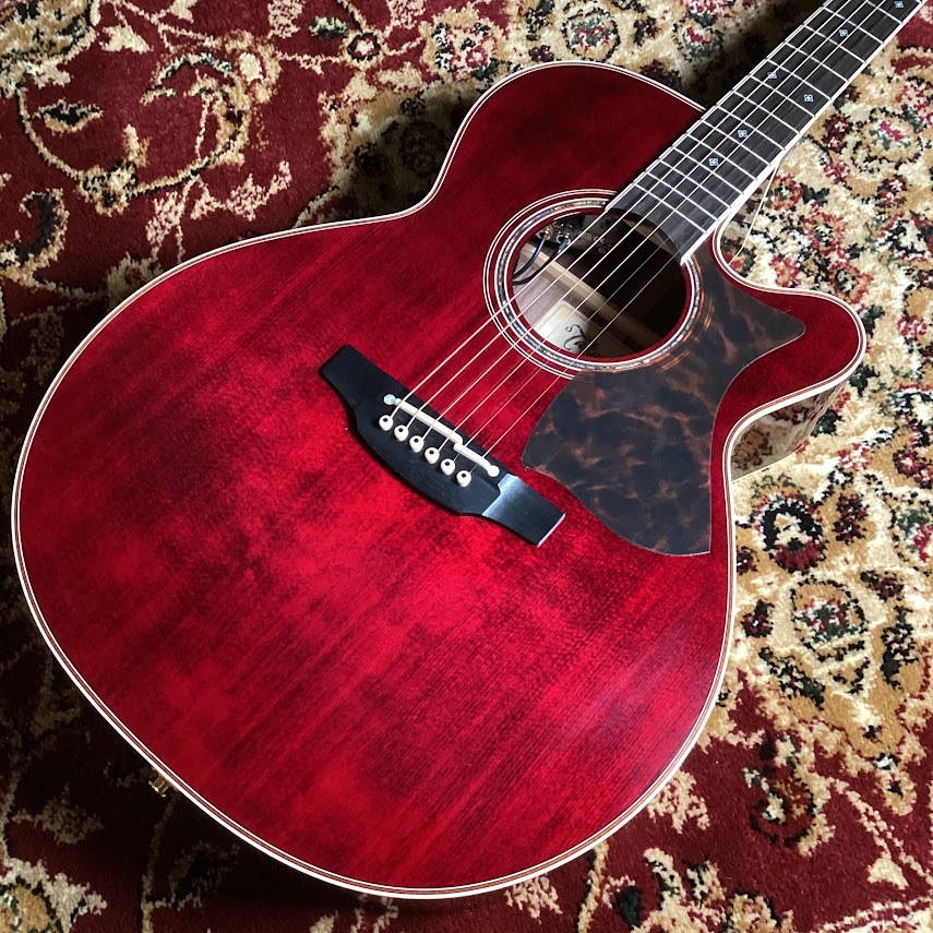 Takamine DMP50S ソフトケース付き 諸々付き Takamine DMP50S NAT エレアコギター セミハードケース付属