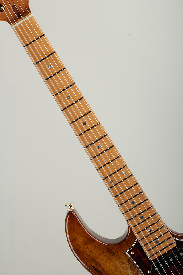 FUJIGEN(FGN) Expert ODYSSEY EOS2-EW1-HS-RM/HCB【S/N J250460