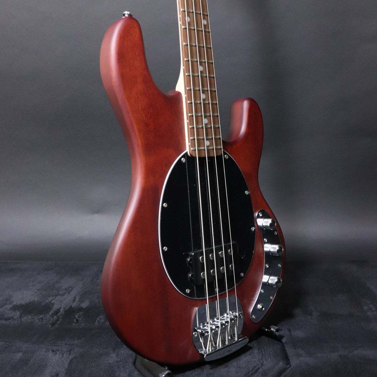 Sterling by MUSIC MAN S.U.B RAY4 Walnut Satin 【梅田店】（新品
