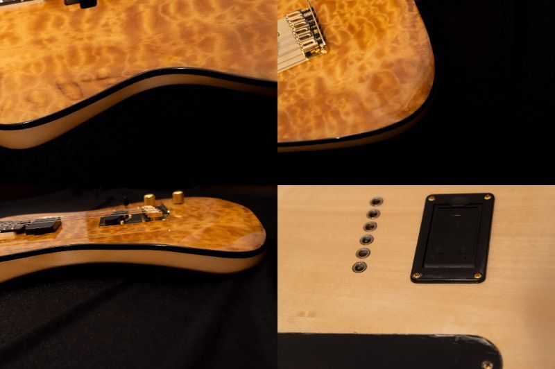 Aria Pro II TEG-780 3.495kg #1024121093【TONIQ横浜】（B級特価/送料