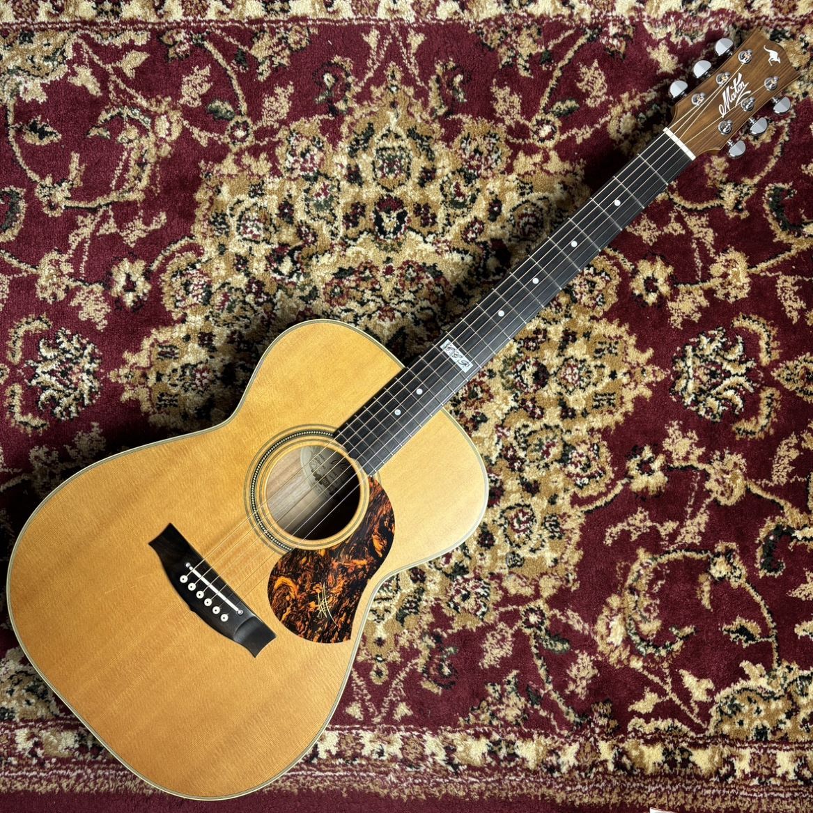 MATON (メイトン) EBG808TE Tommy Emmanuel Signature 【トミー