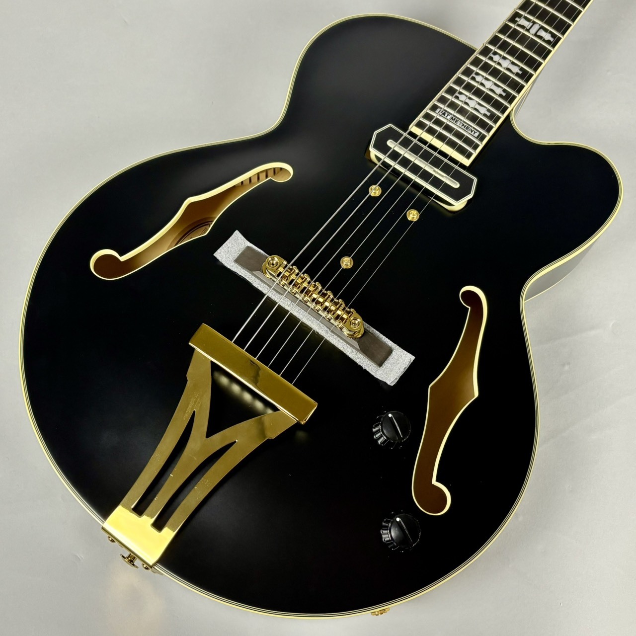 Ibanez PM3C パット・メセニーシグネチャー・モデル【現物写真】（B級