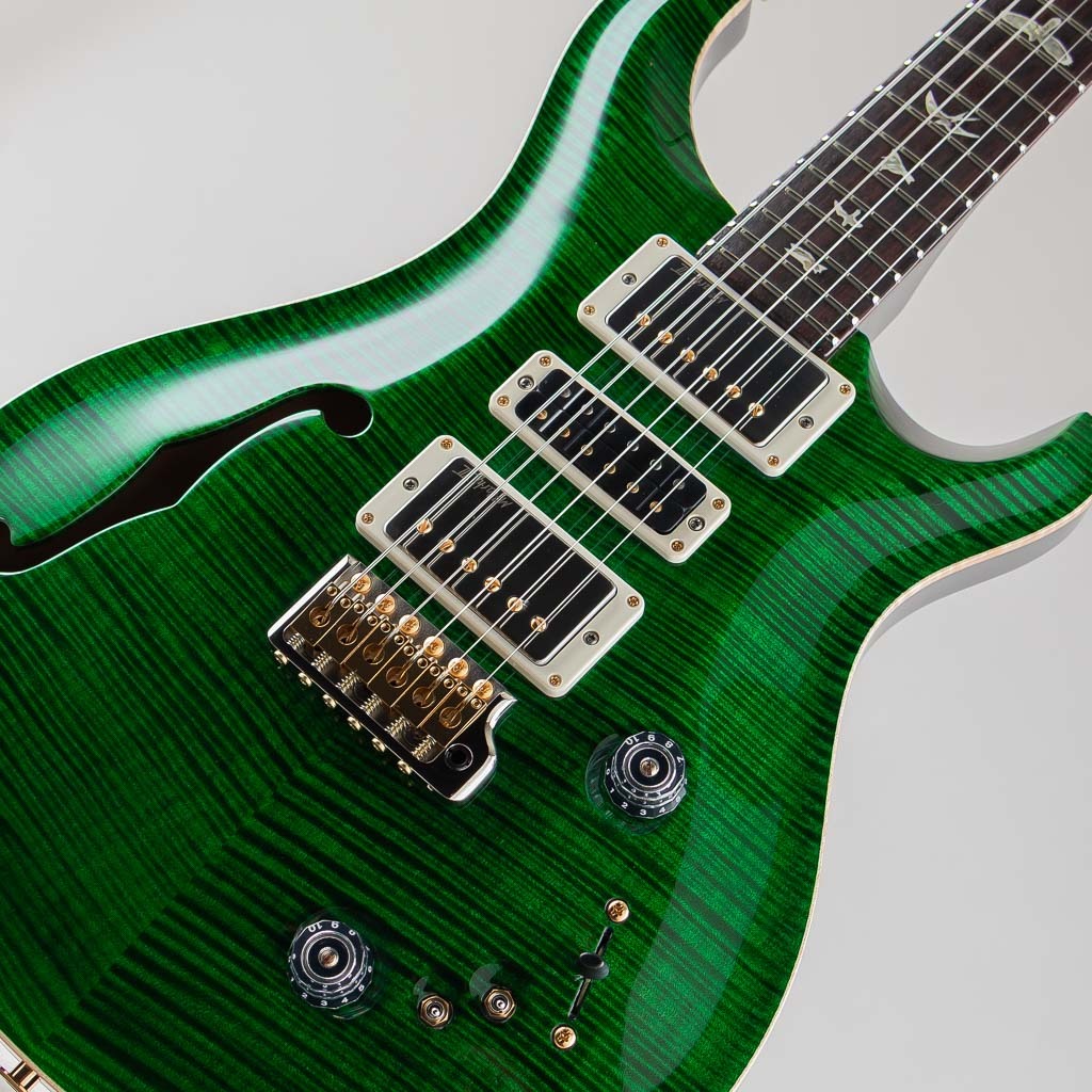 Paul Reed Smith(PRS) Special Semi-Hollow 10Top Emerald Green 2025