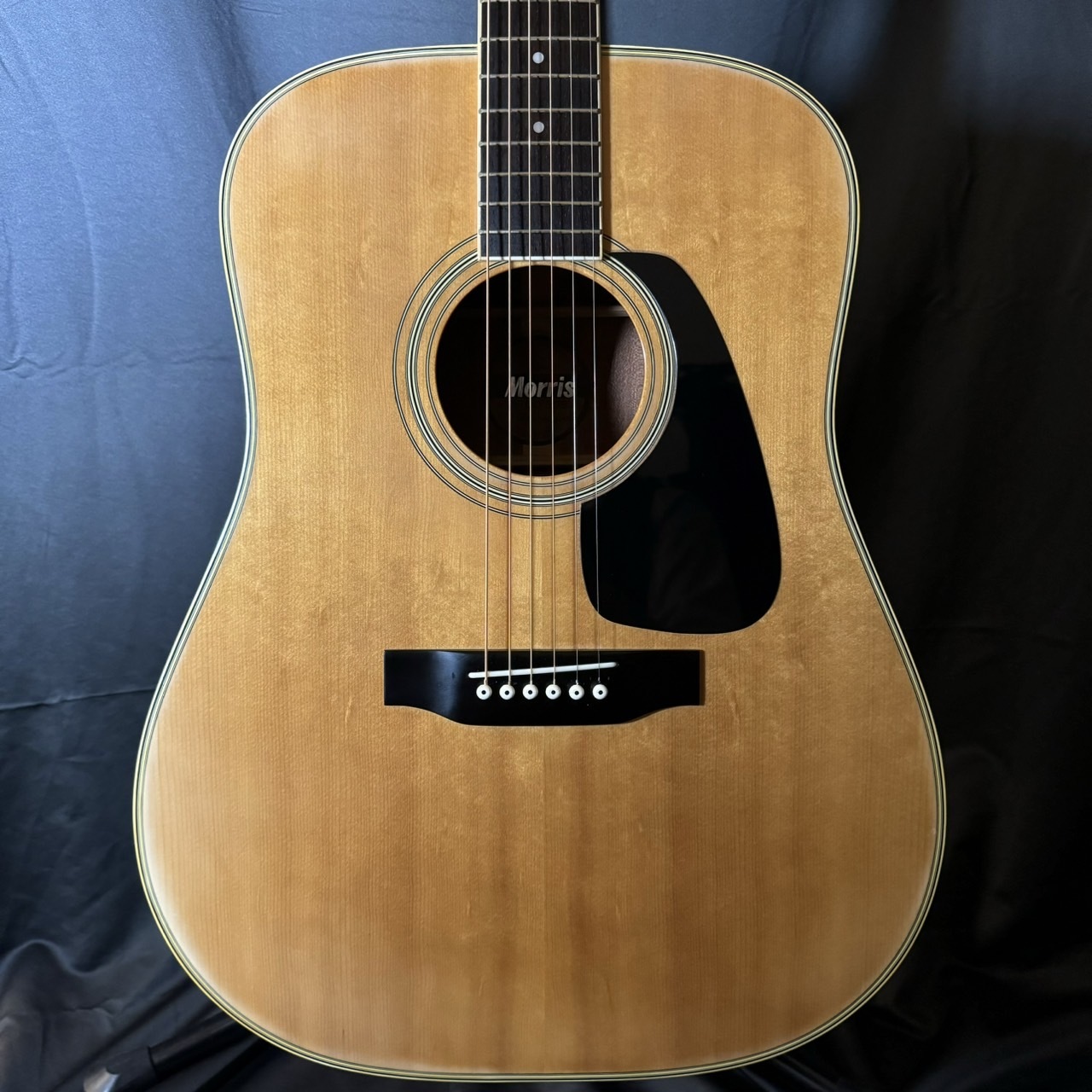 Morris MD 505 L 左用