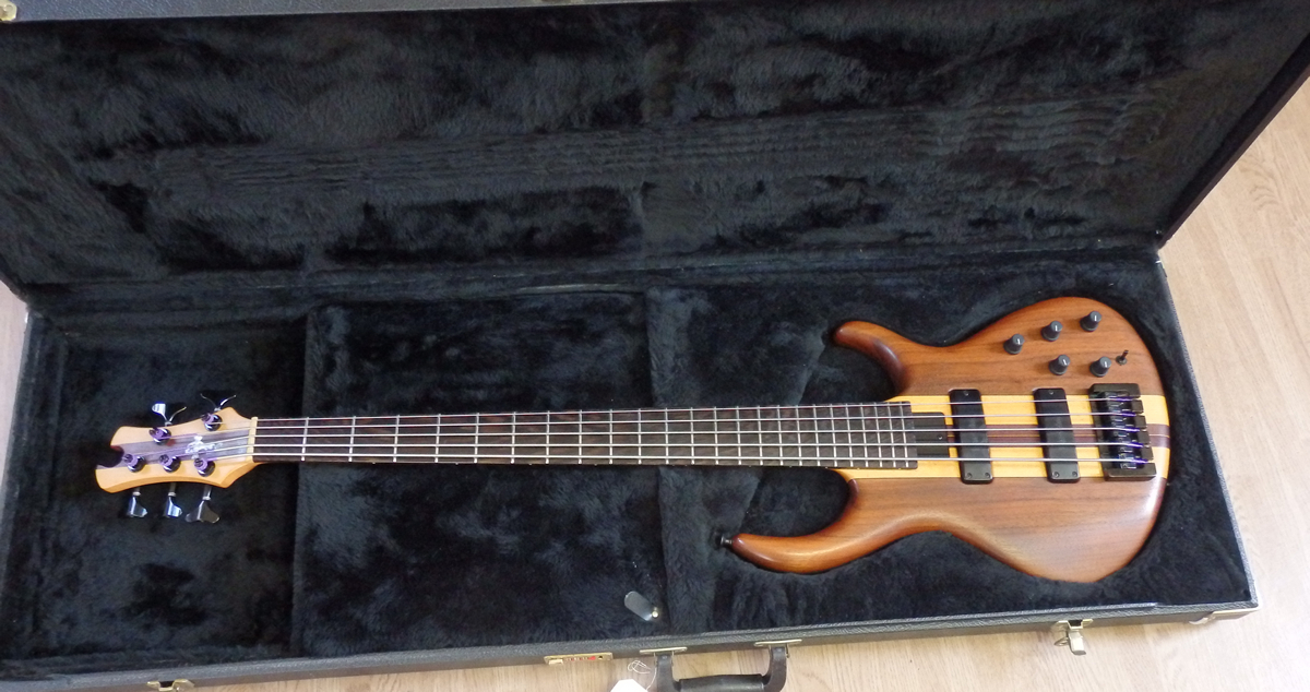 Tobias Basic 5-String Bass | Musician's Friend