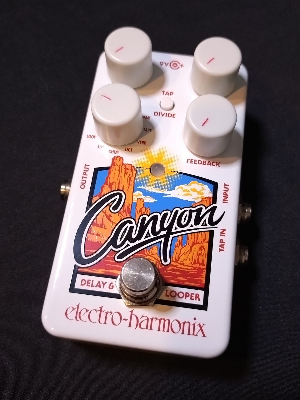 Electro-Harmonix Canyon DELAY & LOOPER(中古)【楽器検索デジマート】 Electro-Harmonix Canyon DELAY & LOOPER(中古)【楽器検索デジマート】