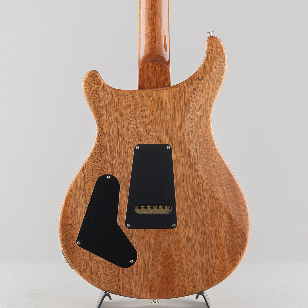 PRS SPECIAL 22 SEMI-HOLLOW (2023) 【公式通販】