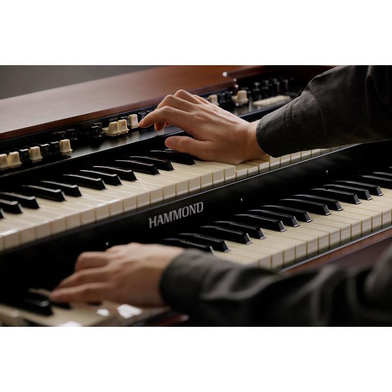 Hammond (予約商品・3月7日発売予定)XK-7D ハモンドオルガン 2段型