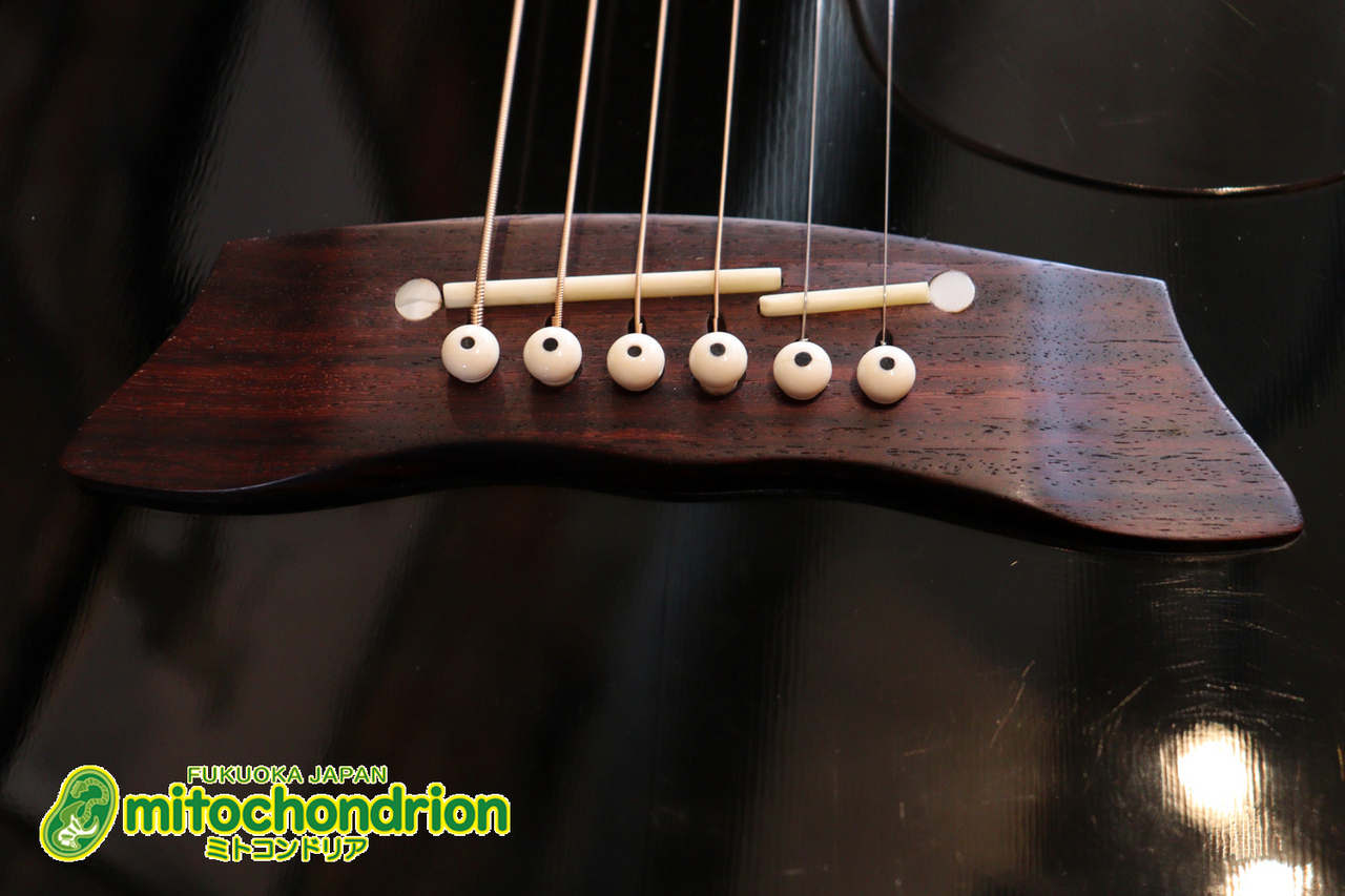 Takamine 1993年製 PT-106-6 / Black（中古）【楽器検索デジマート】