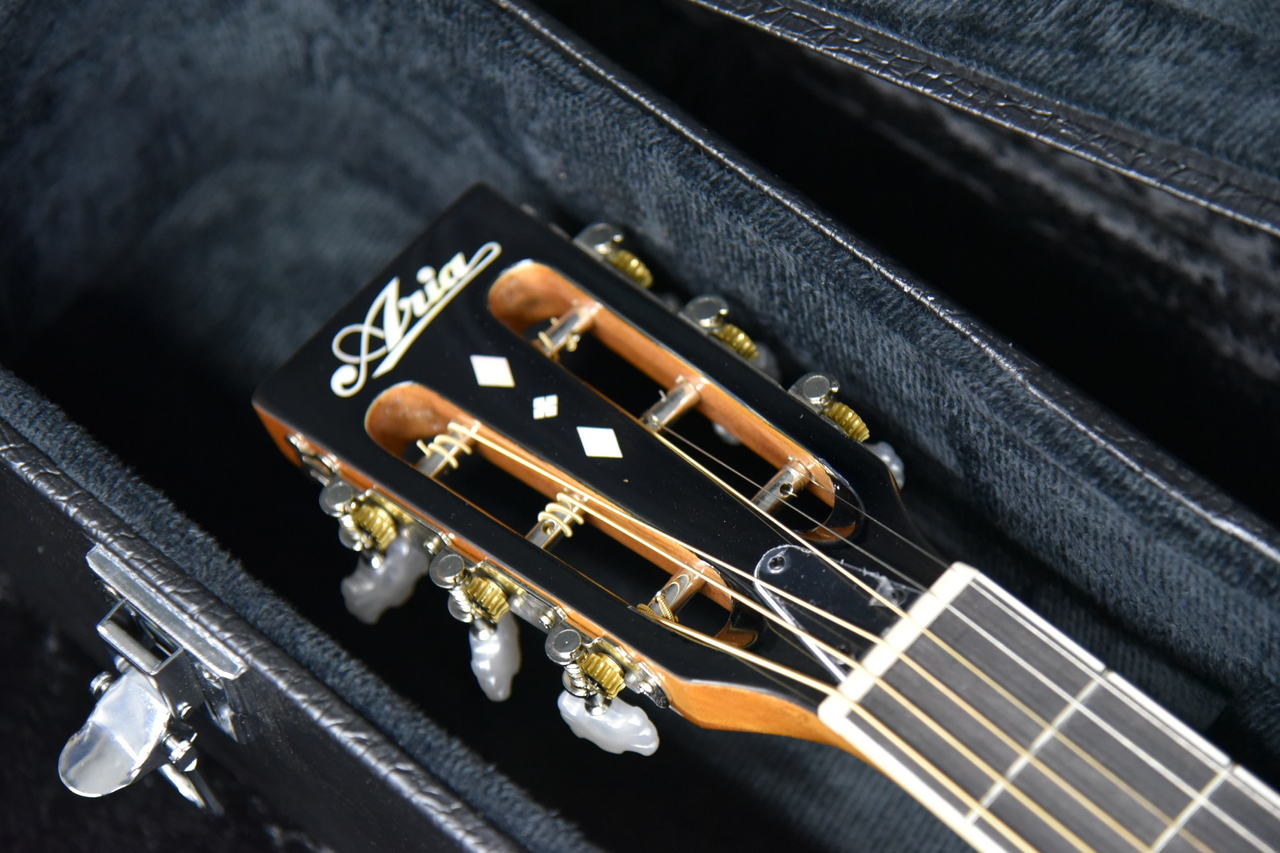 ARIA SB-10G Guitar Banjo （新品特価）【楽器検索デジマート】