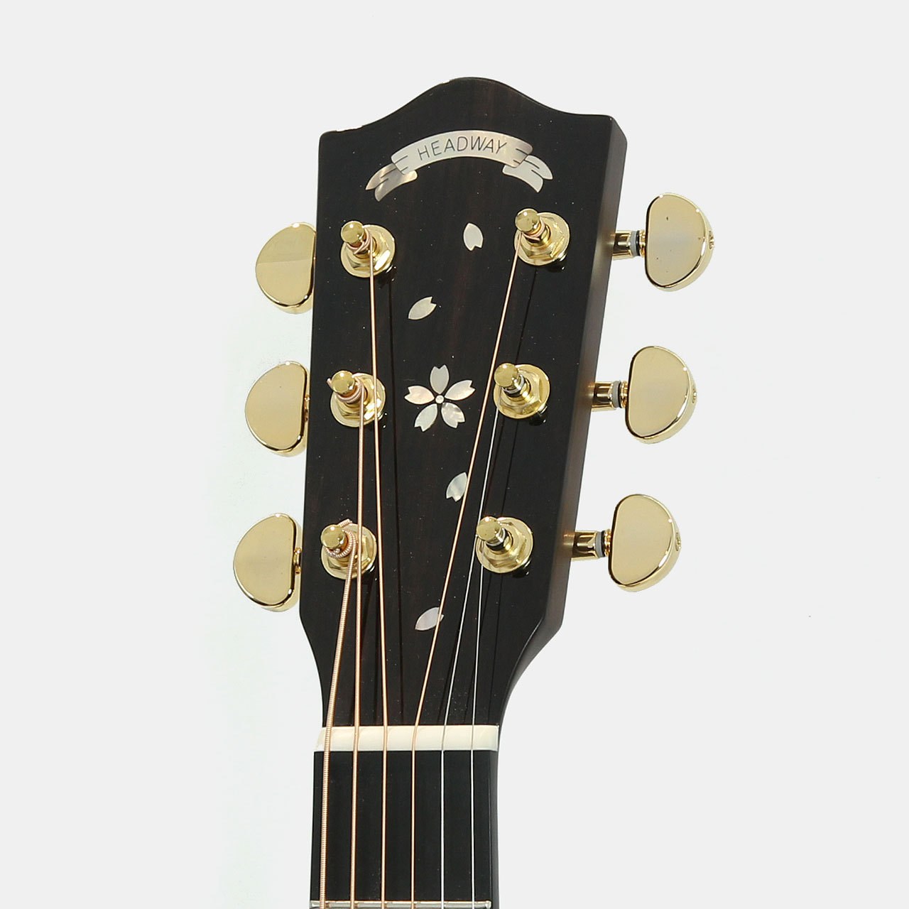 ボディ補修あり　dragonfly HI-STA ハードケース付き 中古】DRAGONFLY / HI STA Custom 【新宿店】 | イシバシ楽器