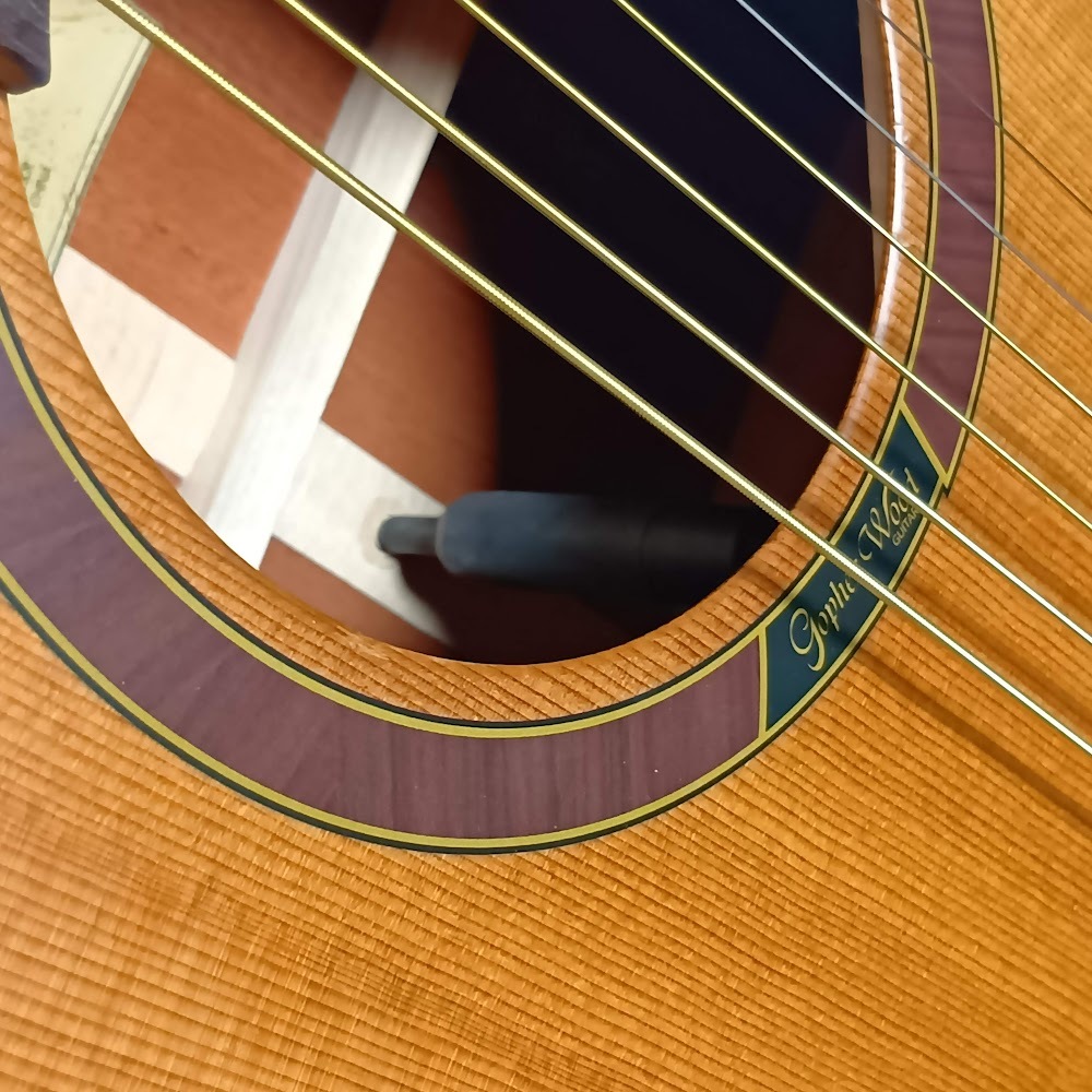 Gopherwood Guitars i200R【現物画像】（新品/送料無料）【楽器