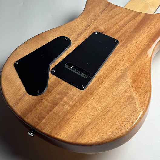 PRS SE Custom22, Skel-zoアンプセット Paul Reed Smith(PRS) SE Custom 22 Semi-Hollow（Santana Yellow