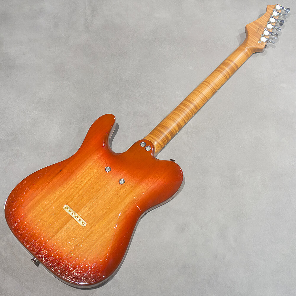 infinite Trad Fullsize T Hollow ST.Brown Burst【分割48回払いまで