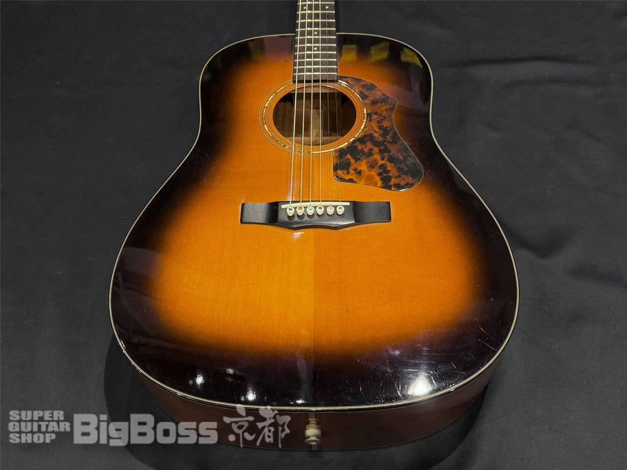 安い最新作Morris MG650 アコースティックギター ギター