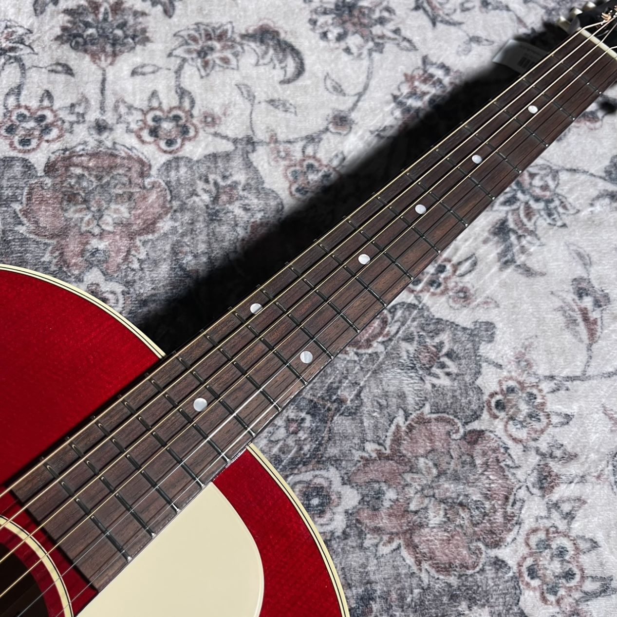 HISTORY ASH-J/Adirondack CR 【日本製エレアコ トリファイド