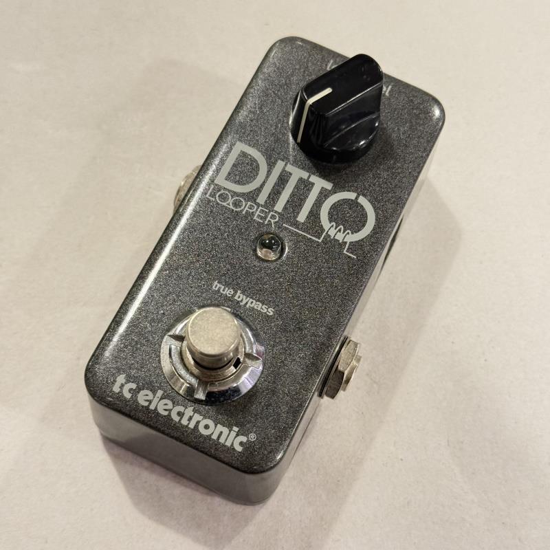 tc electronic USED 中古 DITTO LOOPER（中古）【楽器検索デジマート】
