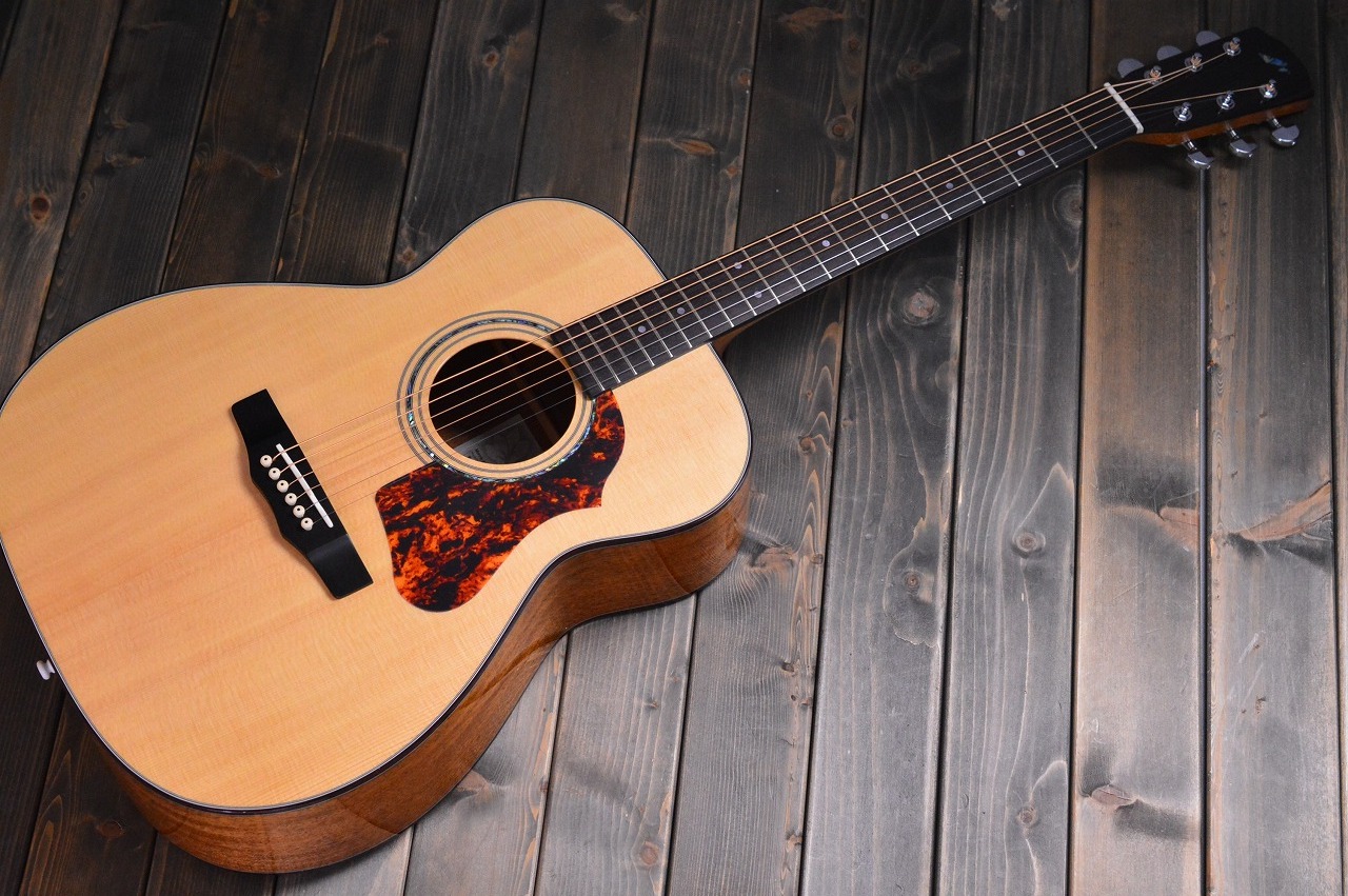 Morris F-LTDII（新品/送料無料）【楽器検索デジマート】