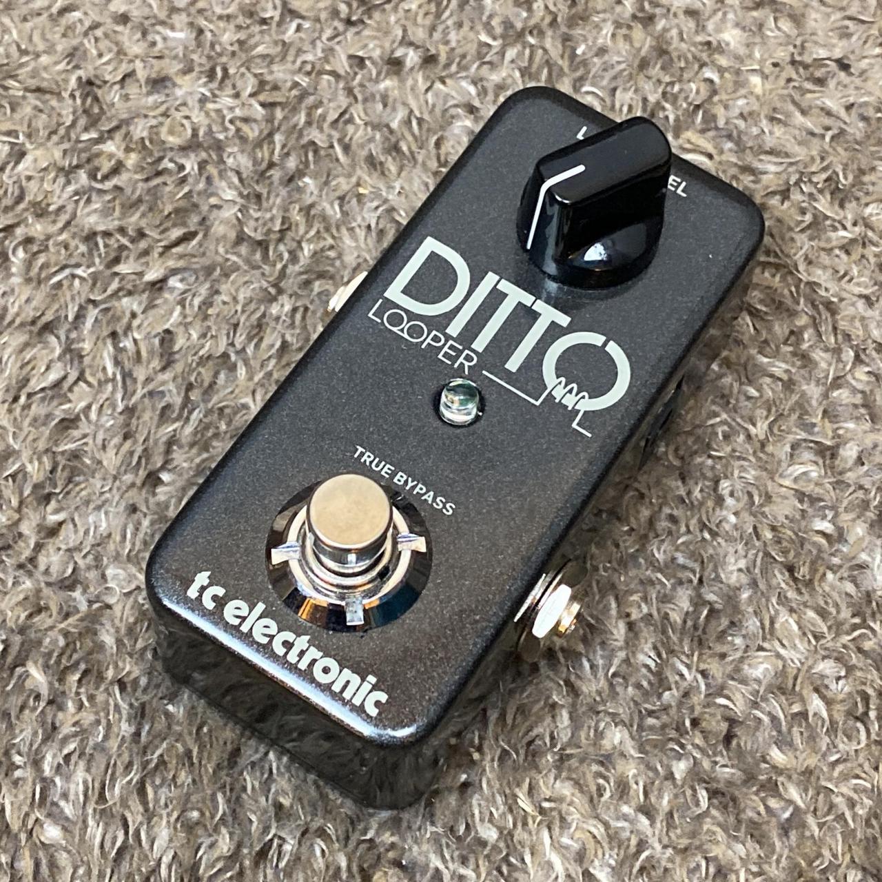 tc electronic DITTO LOOPER 中古品 TC Electronic Ditto Looper Pedal - Black for sale online | eBay