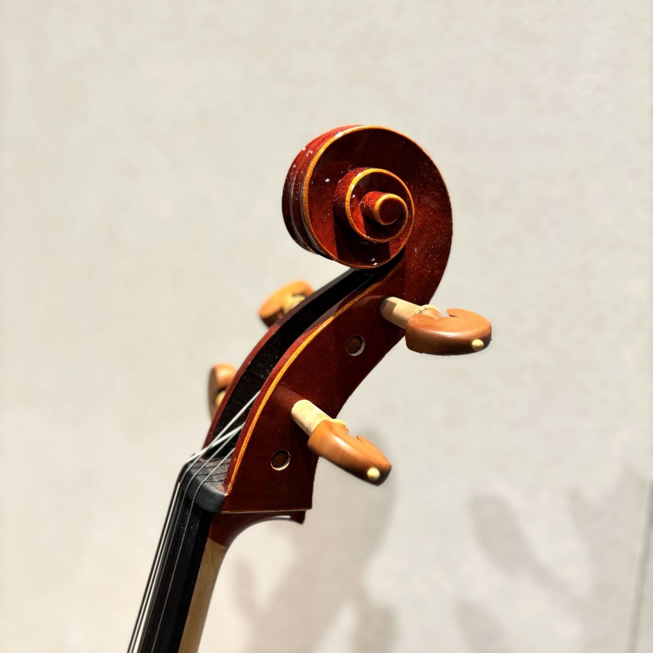 【分数チェロ】 1/2サイズ チェロ ピグマリウス ソフトケース付 image1.png