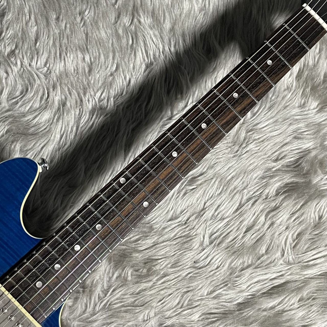 ESP GrassRoots G-PO-60 Potbelly 超美品生産終了品 GrassRoots G-PO-60 POTBELLY See Thru Blue 3.01kg（中古/送料無料