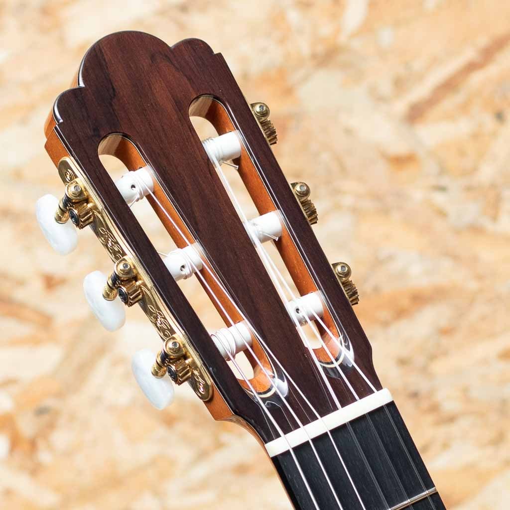 ASTURIAS TSUJI S-2/S（新品）【楽器検索デジマート】