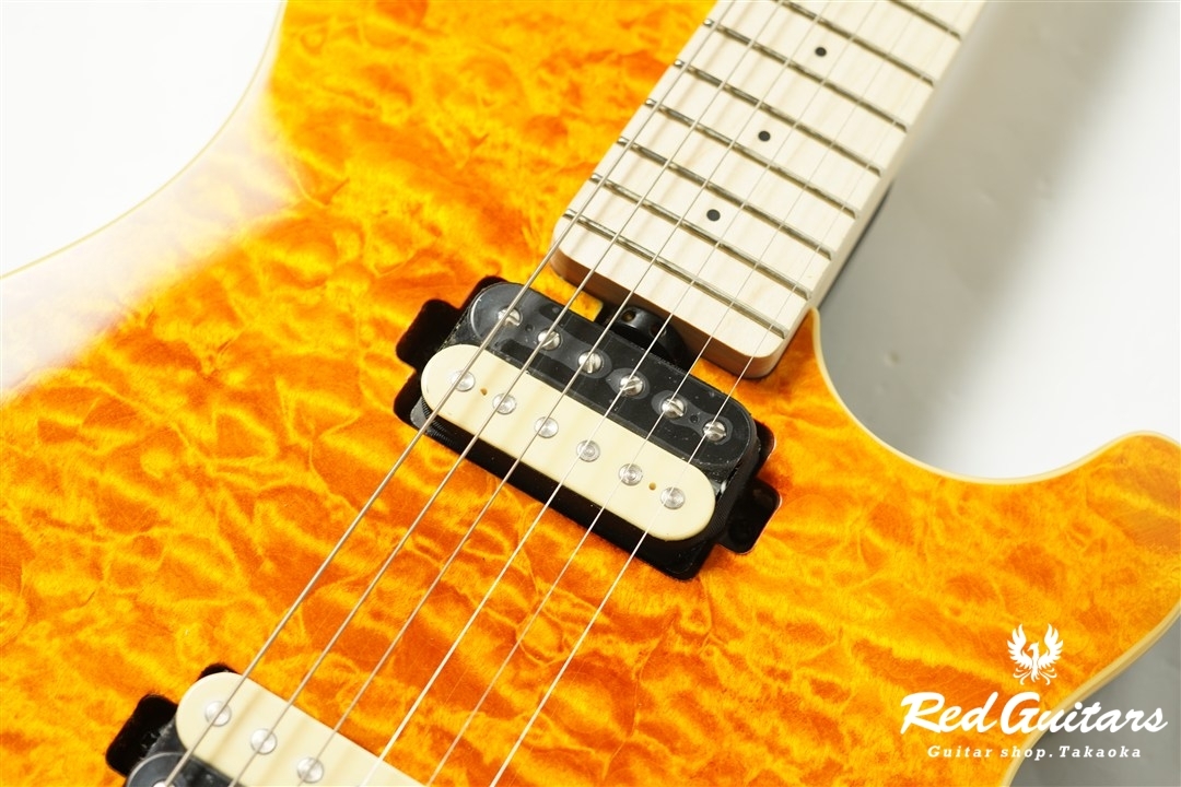 Sterling by MUSIC MAN AXIS AX40-TGO-M - Trans Gold（新品/送料無料