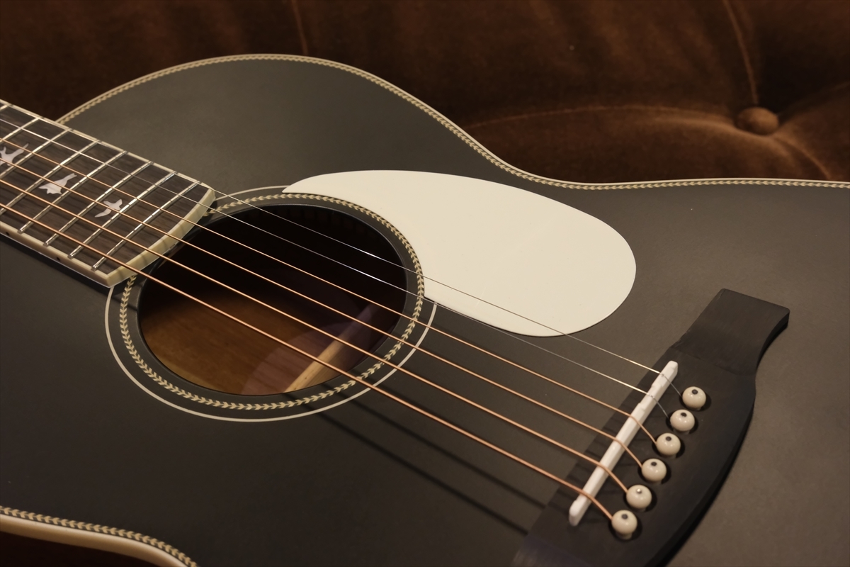 Paul Reed Smith(PRS) SE P20E Parlor w/Fishman / Satin Black Top