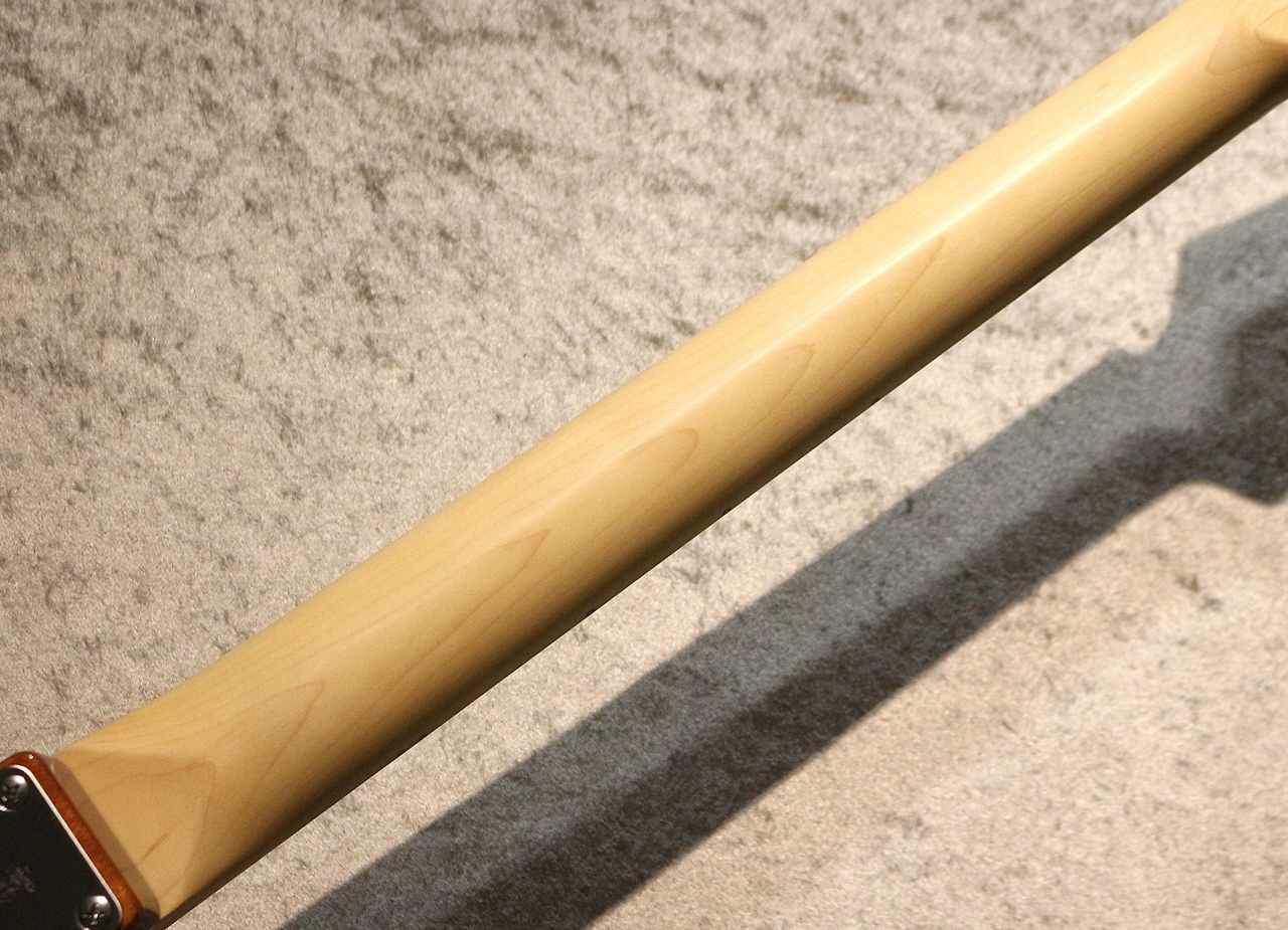 FUJIGEN(FGN) NTE110MMHT ~Natural~ #C250136【3.46kg