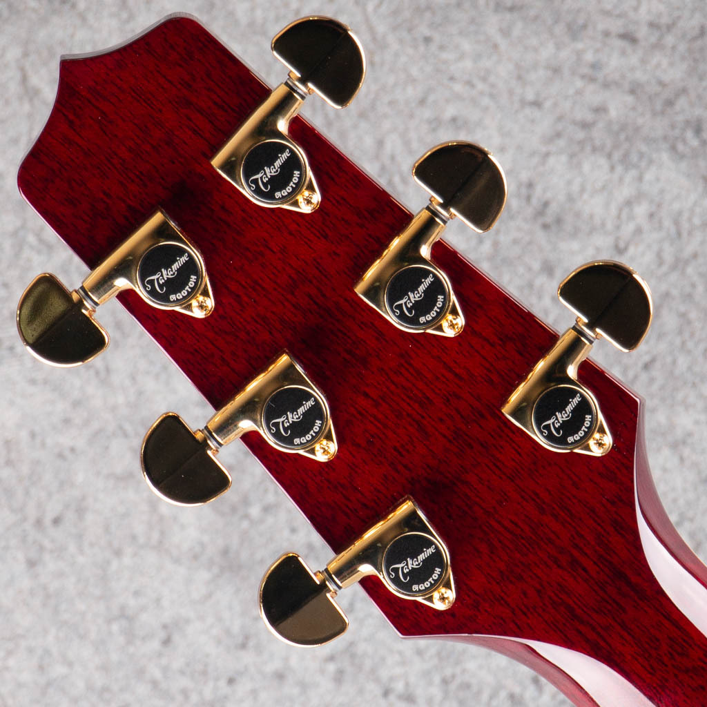 Takamine DMP551C WR（新品）【楽器検索デジマート】