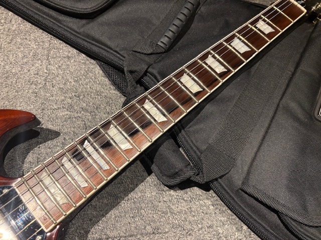 100％本物保証！ FUJIGEN(FGN) NSG-100（中古）【楽器検索デジマート】 ギター