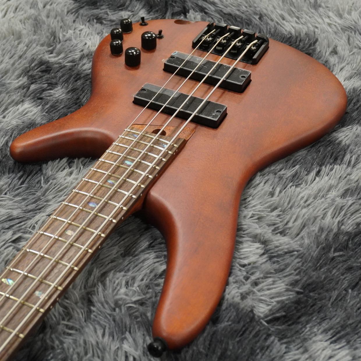 Ibanez SR500E-BM (Brown Mahogany) 【特価】 【生産完了モデル