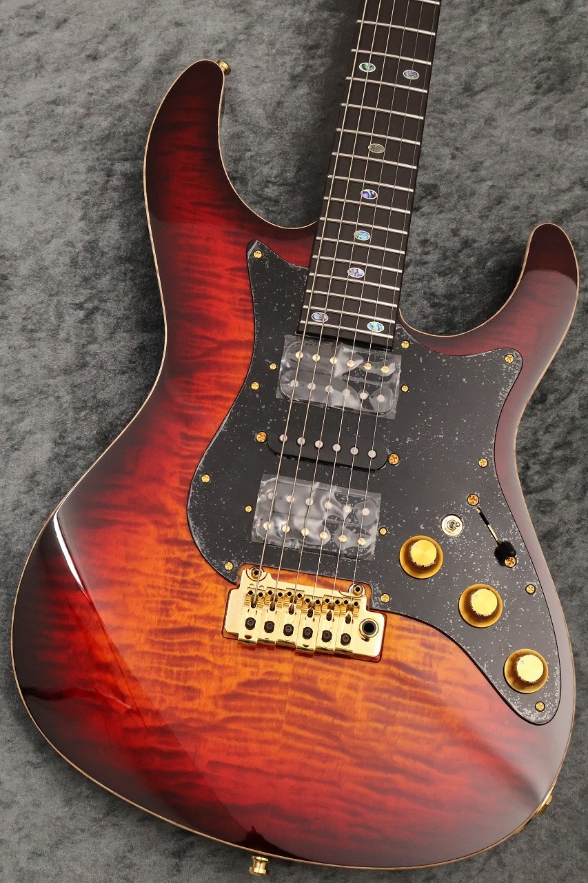 FREEDOM CUSTOM GUITAR RESEARCH Custom Order HYDRA 24F Standard