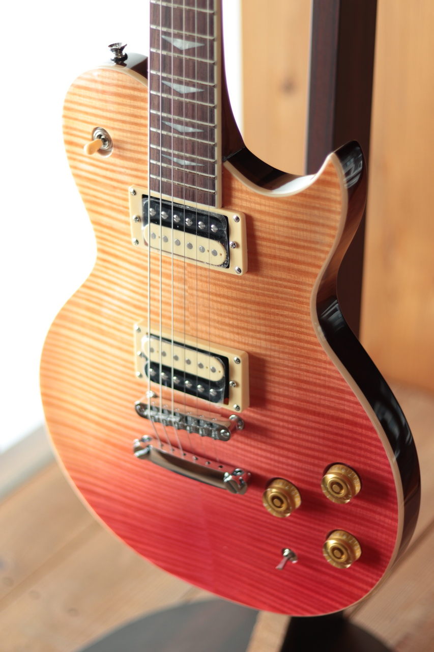 Aria Pro II PE-JAIL 2025（新品/送料無料）【楽器検索デジマート】