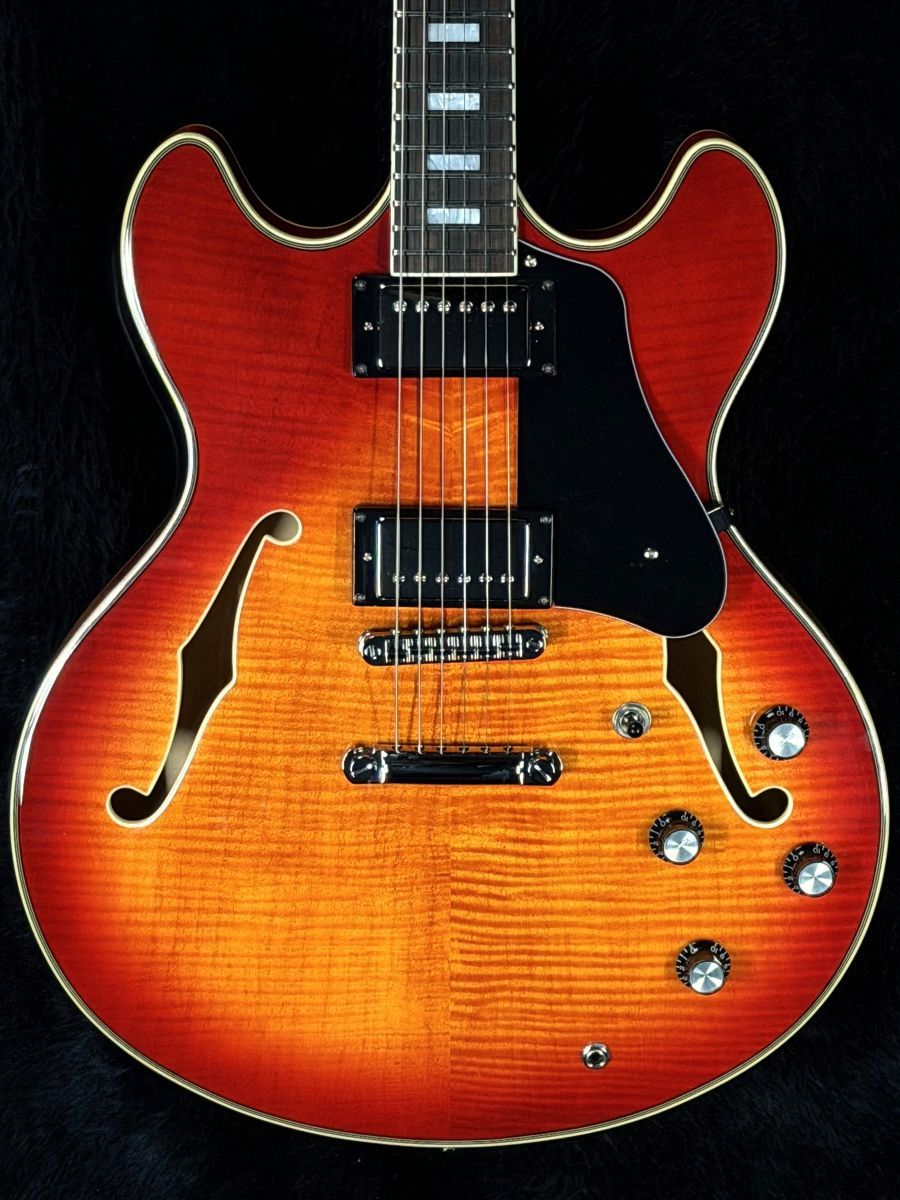 Sire Larry Carlton H7-Cherry Sunburst-【中古!!】【金利0
