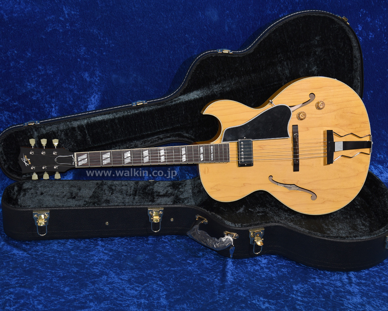 Archtop Tribute AT105M（新品）【楽器検索デジマート】