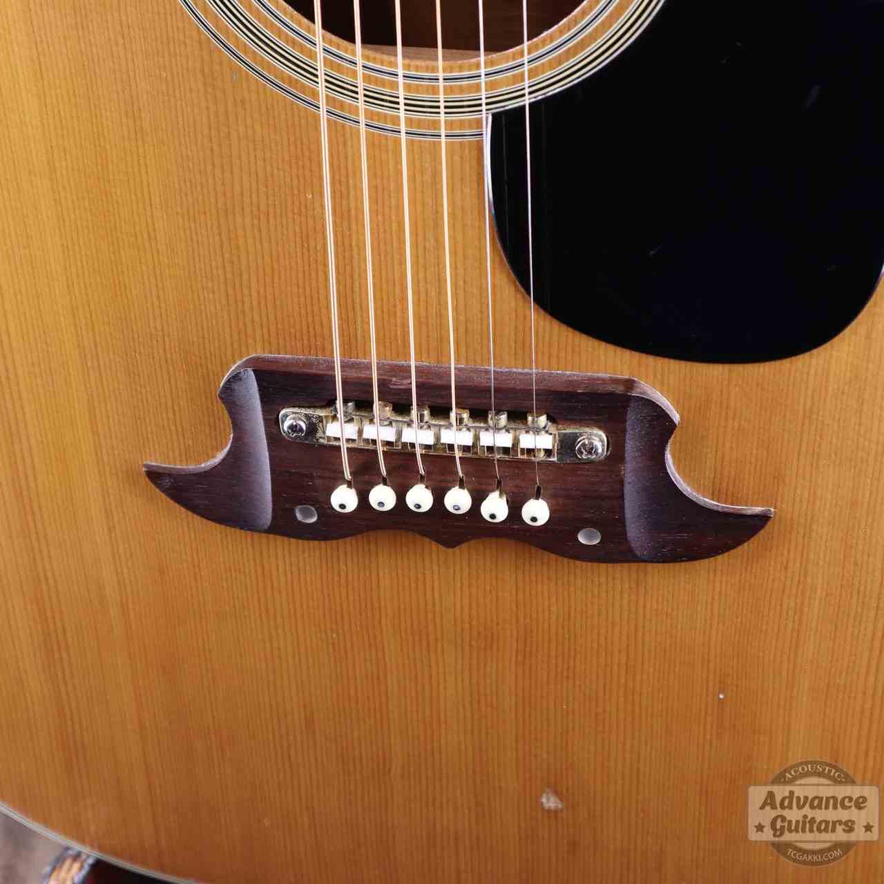 Terada Guitars Terada FW-504（中古）【楽器検索デジマート】