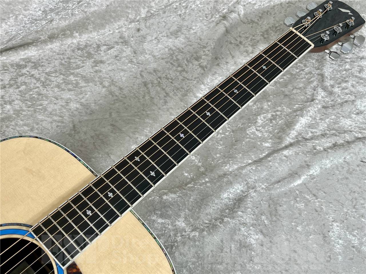 Morris M-AH (青木陽菜氏シグネチャーモデル/初回入荷分)（新品/送料