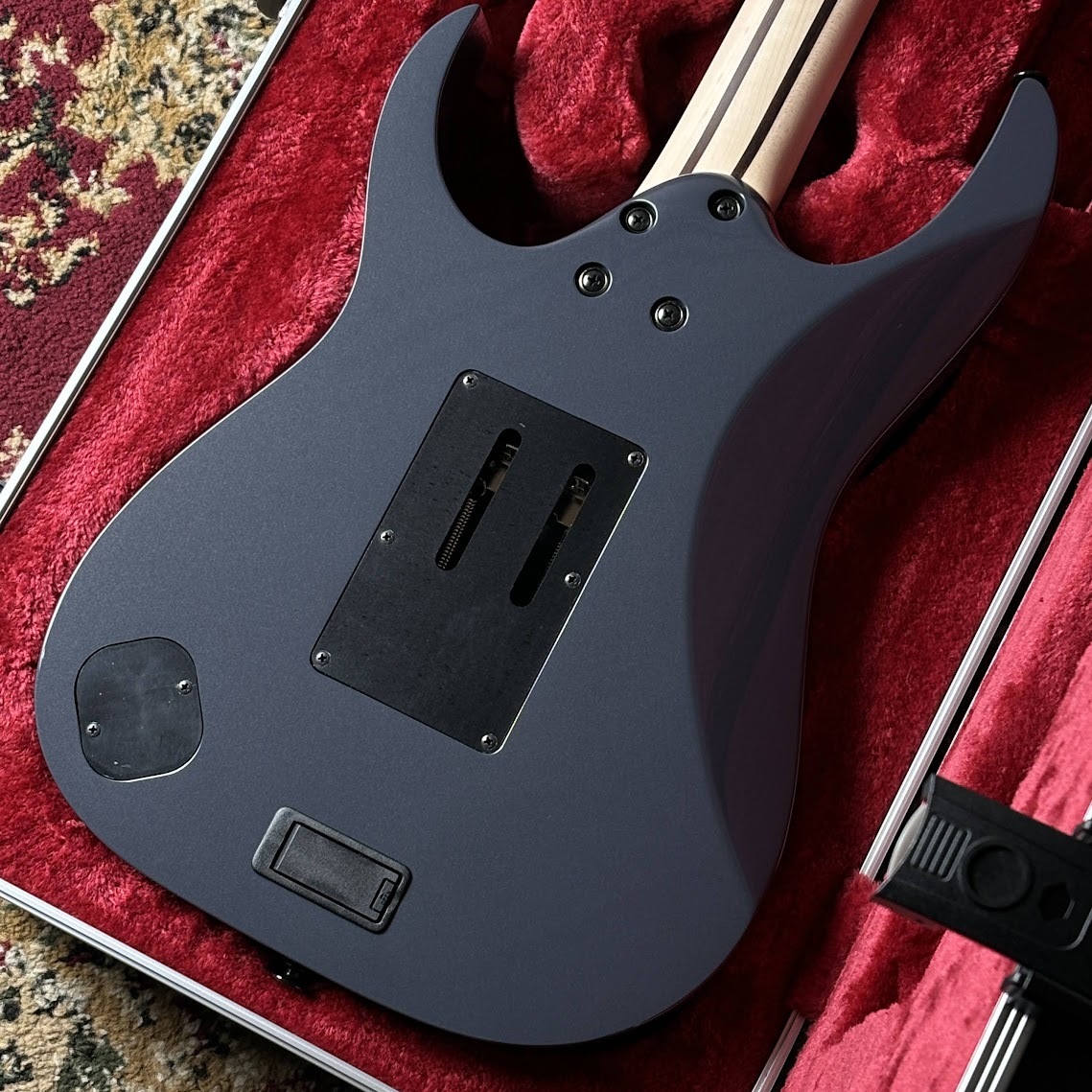 Ibanez 【Fishmanピックアップ】 RGR5130R 【ステンレスフレット