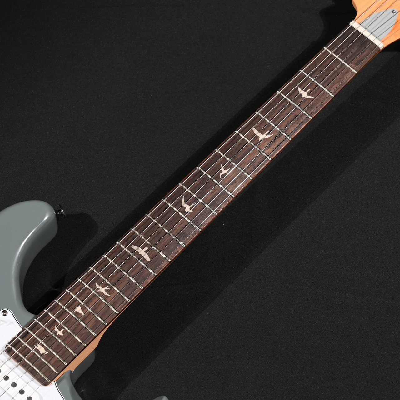 Paul Reed Smith(PRS) SE Silver Sky Rosewood 8J Storm Gray S/N