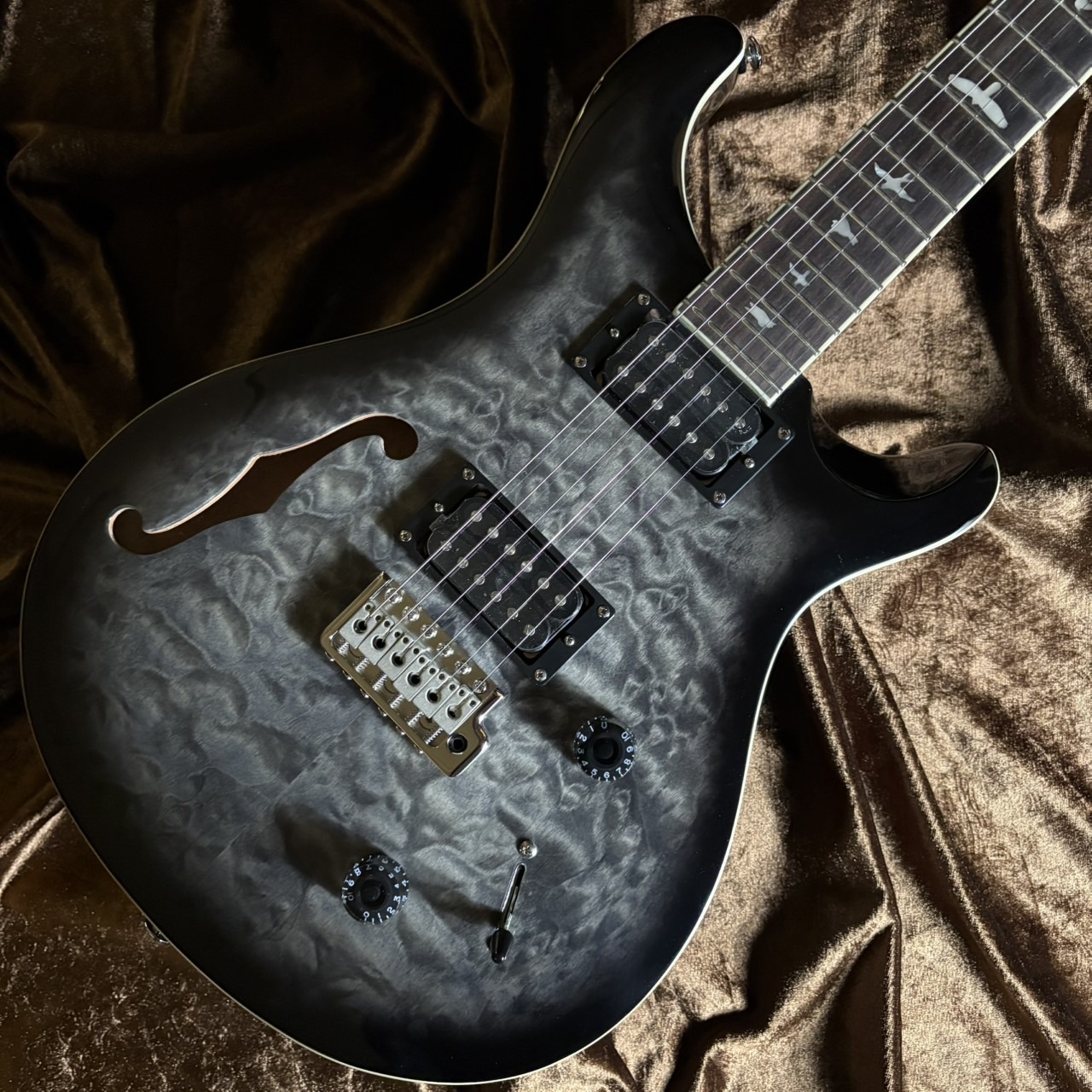 Paul Reed Smith(PRS) 《現物画像 / 限定生産モデル》SE Custom 22
